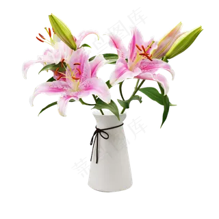 粉色百合花花瓶,免抠元素