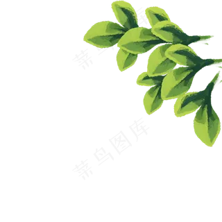 春天植物绿叶下载