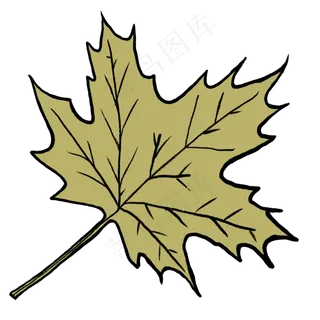 一片树叶免抠创意插图