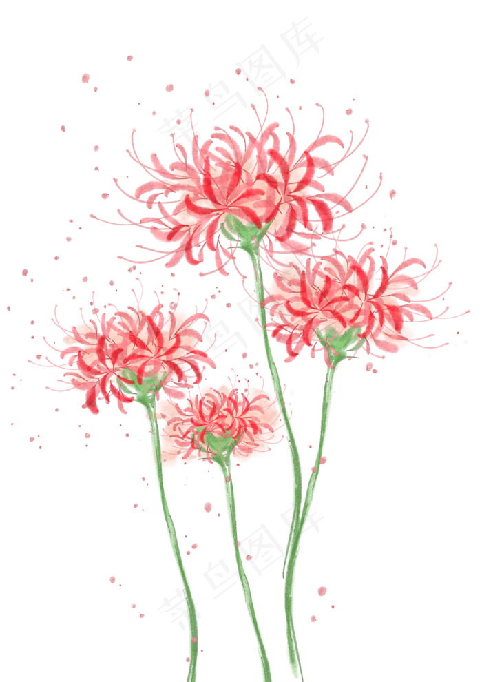 夏日手绘水彩彼岸花(2480X3507(DPI:300))psd模版下载