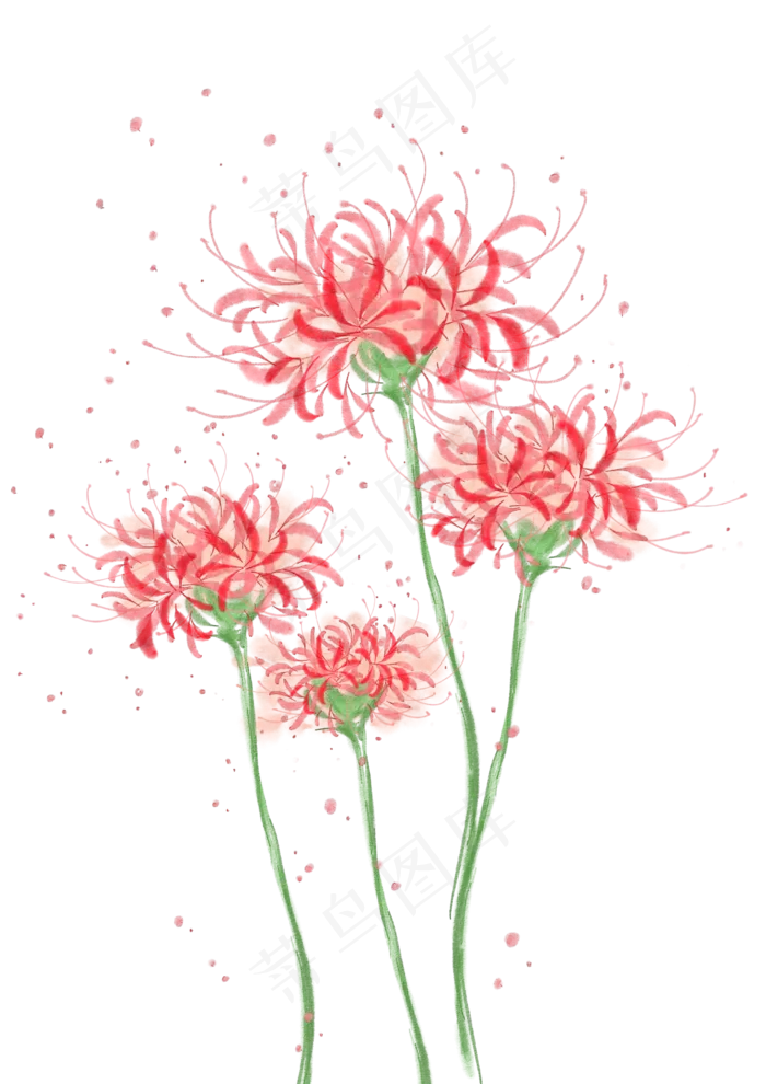 夏日手绘水彩彼岸花(2480X3507(DPI:300))psd模版下载