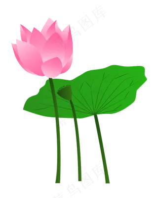 矢量卡通粉色莲花