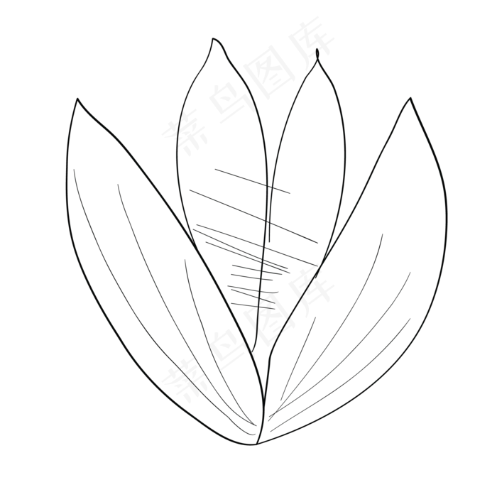 铅笔画卡通荷花免抠(2083X2083(DPI:300))psd模版下载