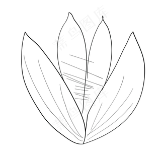 铅笔画卡通荷花免抠