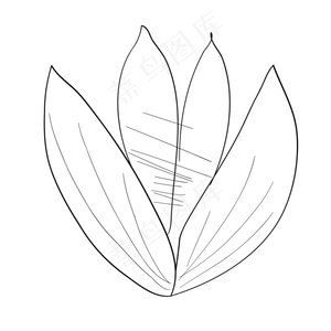 铅笔画卡通荷花免抠