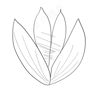 铅笔画卡通荷花免抠