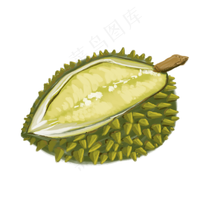 榴莲装饰插图免抠(2000X2000(DPI:132))psd模版下载