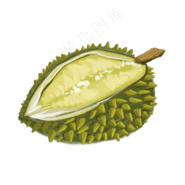 榴莲装饰插图免抠(2000X2000(DPI:132))psd模版下载