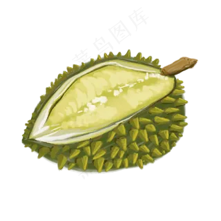 榴莲装饰插图免抠