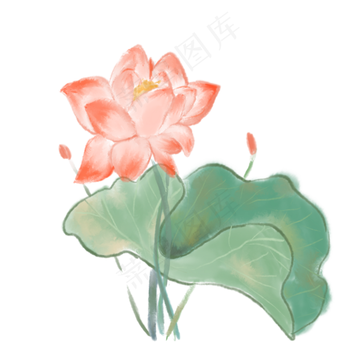 荷花清新免抠元素(3545X5315(DPI:300))psd模版下载