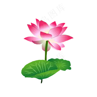 矢量卡通粉色莲花 矢量卡通粉色莲花