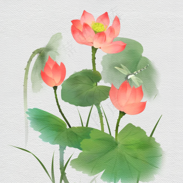 手绘水彩风立夏荷花,免抠元素(3000*3000px 300 dpi )psd模版下载