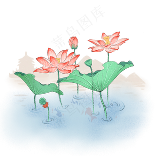 荷花荷叶夏季清新,免抠元素