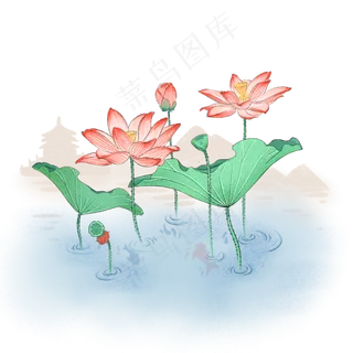 荷花荷叶夏季清新,免抠元素