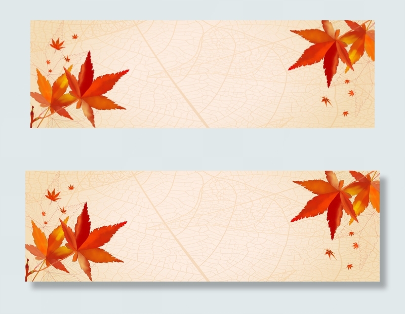 树叶纹理立秋背景模板