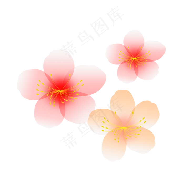 清新鲜花小花