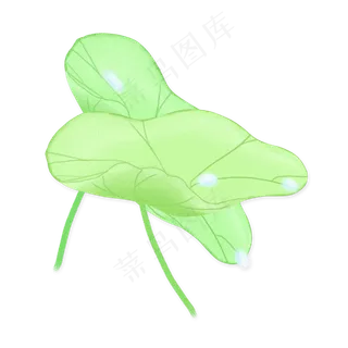 清明节荷花荷叶png素材