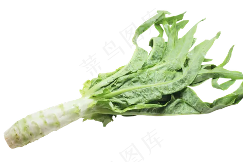 莴笋食材免扣,免抠元素