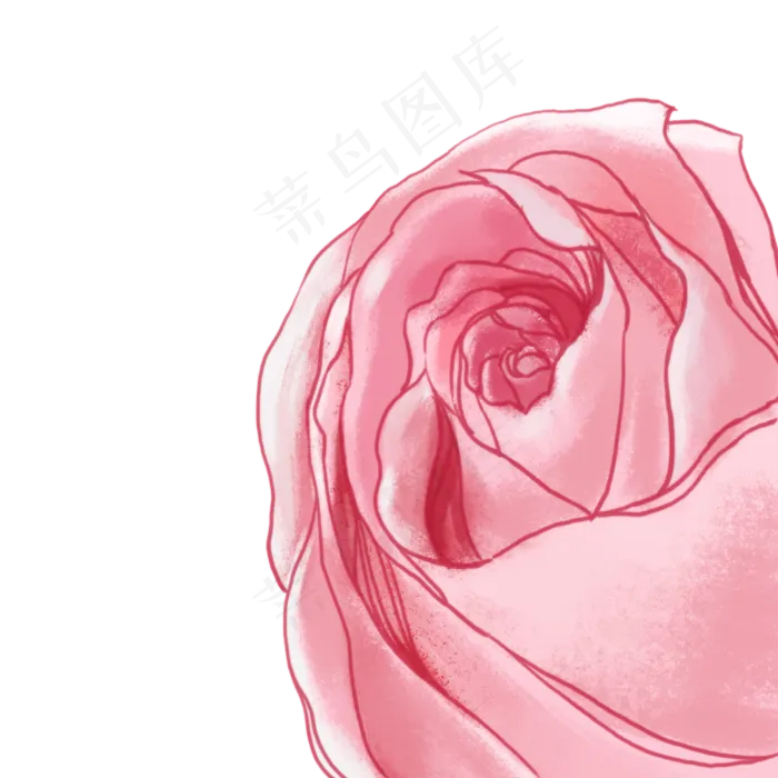 玫瑰(2000X2000(DPI:300))psd模版下载