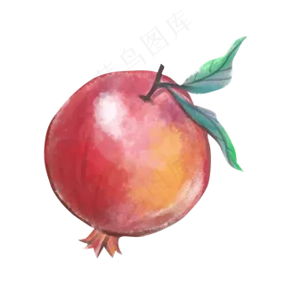 水果水彩石榴