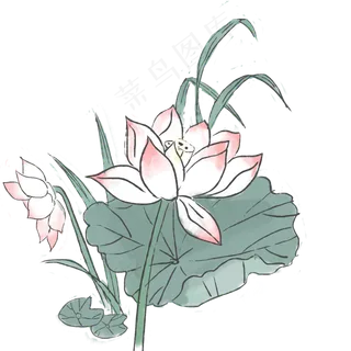 中国风古典水彩风格荷花