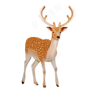 世界动物日手绘欧美扁平噪点风格,免抠元素