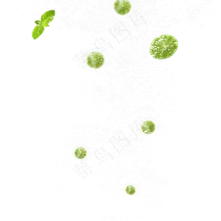 冰块包裹绿叶元素,免抠元素