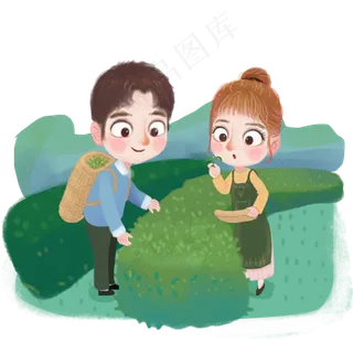 谷雨采茶叶的小孩