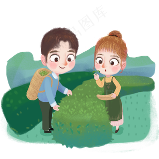 谷雨采茶叶的小孩