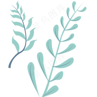 叶子绿色春季植物