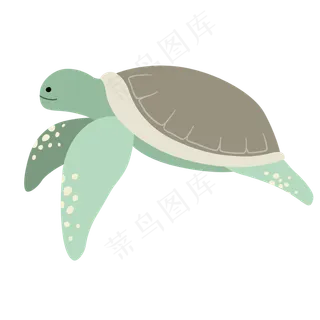 可爱动物小海龟元素,免抠元素