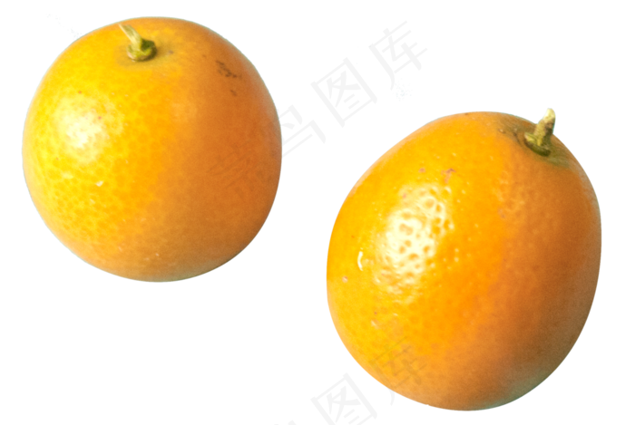 新鲜水果黄色金桔(3000X4000(DPI:300))