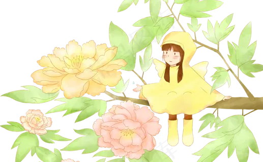 牡丹花女孩 牡丹花女孩