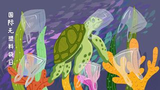 保护海龟禁用塑料袋