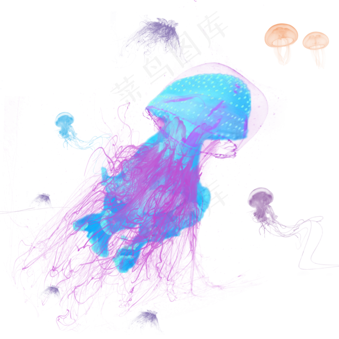 浮游生物彩色水母元素,免抠元素(2000*2000px 300 dpi )psd模版下载