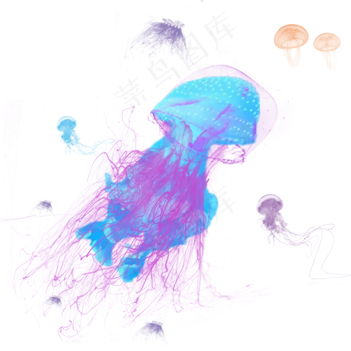浮游生物彩色水母元素,免抠元素