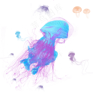 浮游生物彩色水母元素,免抠元素