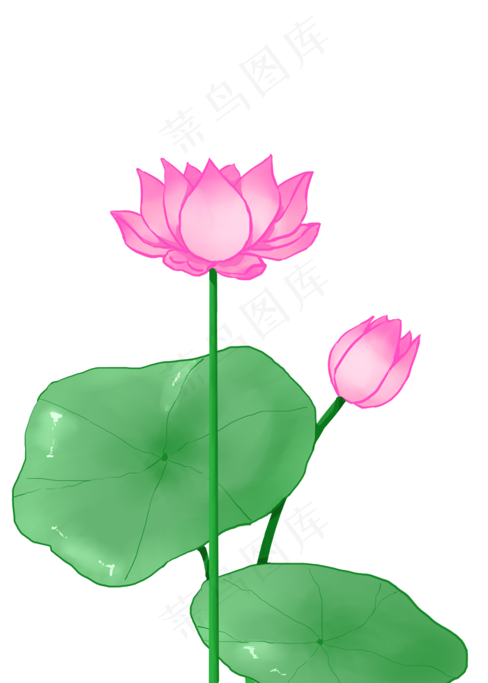 创意荷花装饰插画