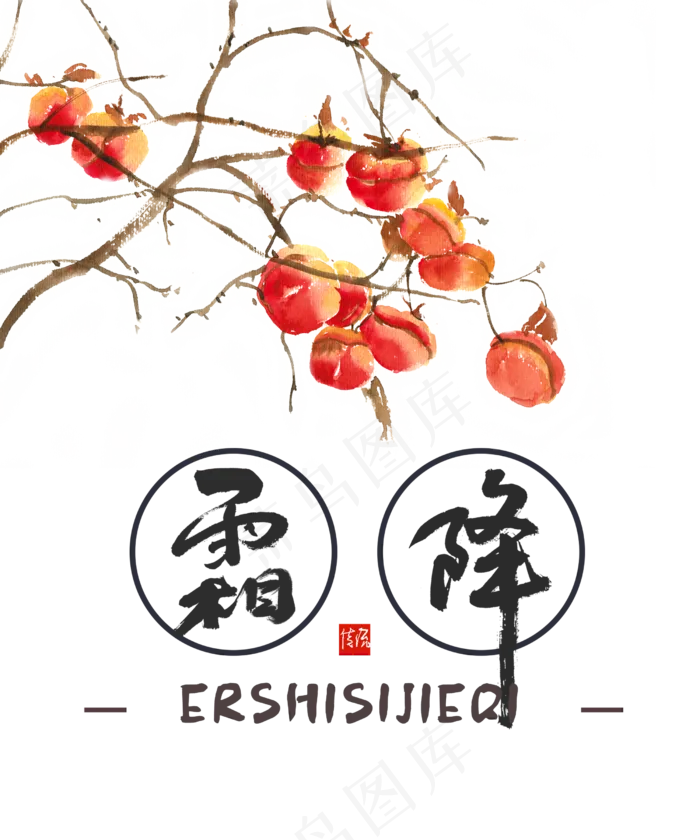 霜降节日柿子,免抠元素(2500X3000(DPI:300))psd模版下载