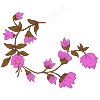 绽放紫色花朵花藤