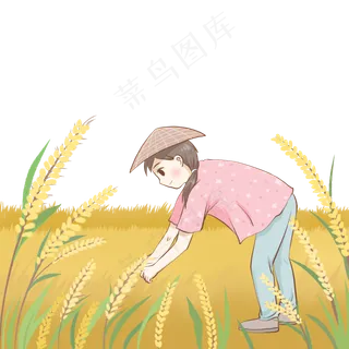 24节气芒种节气套图,免抠元素