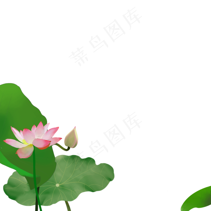 荷花手绘图案免费下载