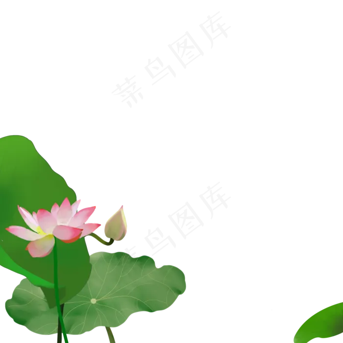 荷花手绘图案免费下载(2000X2000(DPI:300))psd模版下载