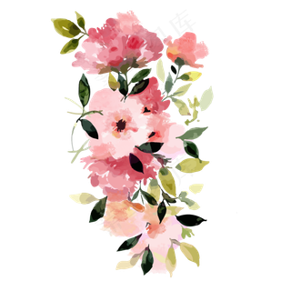 小清新漂亮水彩花朵