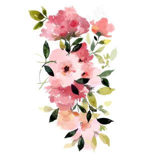 小清新漂亮水彩花朵