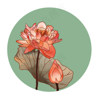 手绘清新荷花植物可商用元素