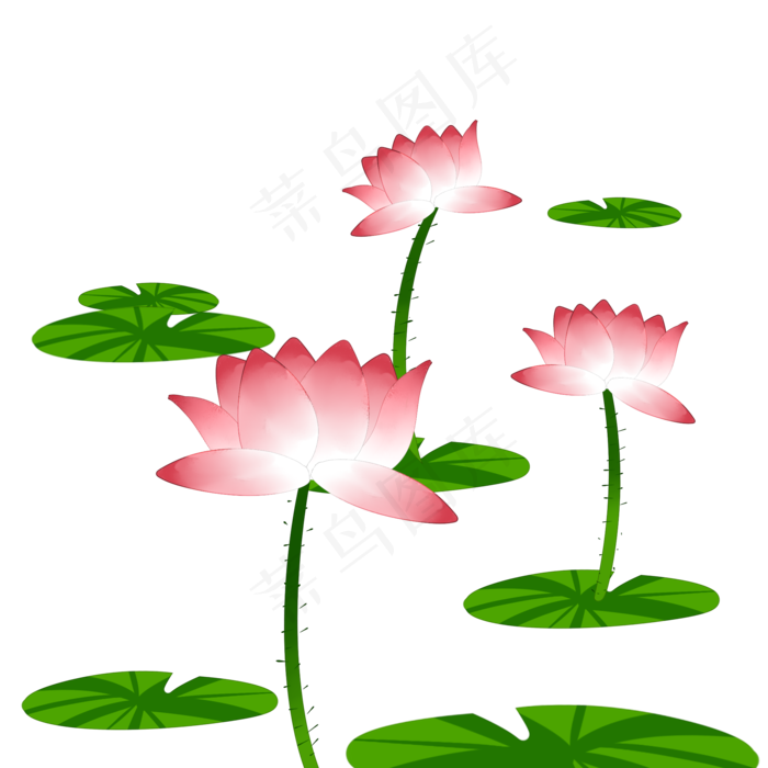 手绘中国风水彩荷花透明底免抠(2000X2000(DPI:299))psd模版下载