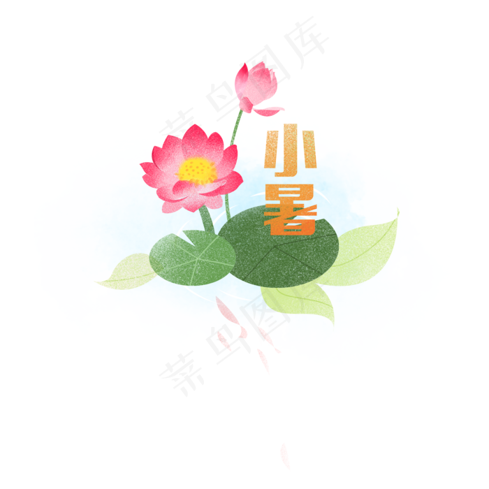 小暑荷花开元素