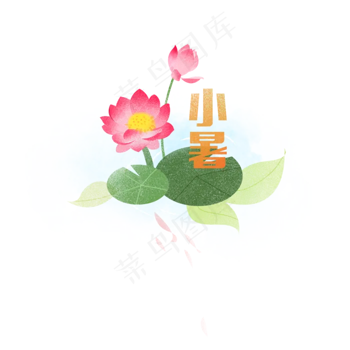 小暑荷花开元素(2000X2000(DPI:96))psd模版下载