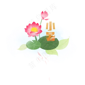 小暑荷花开元素